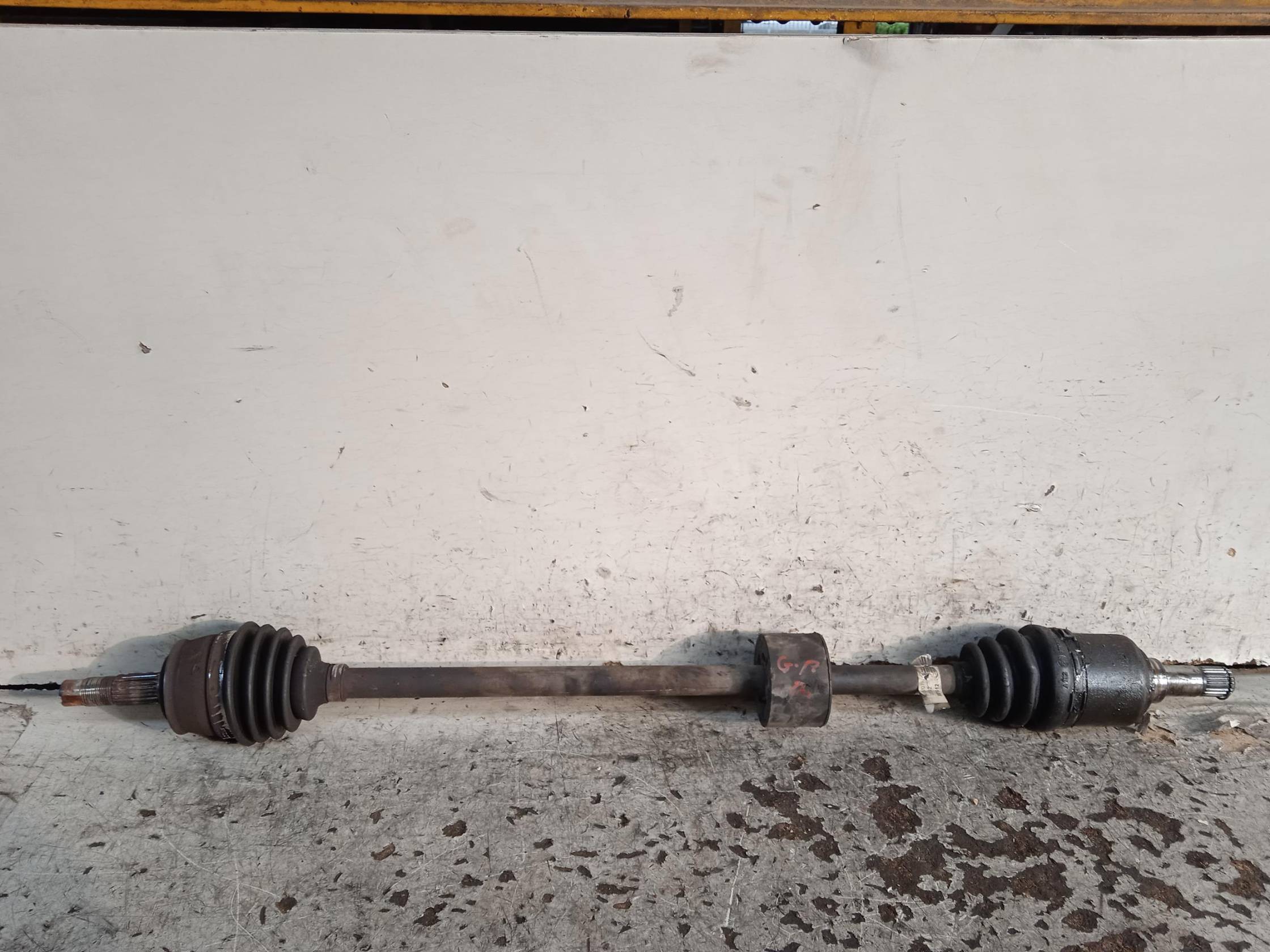 Semialbero ant. compl. dx.